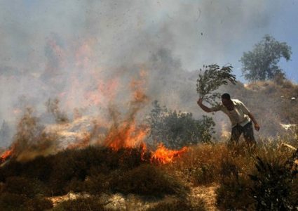 مستوطنون يضرمون النار بحقول زراعية جنوب نابلس