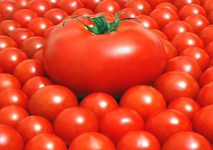 تناول الطماطم يخفض خطر تطور سرطان الجلد