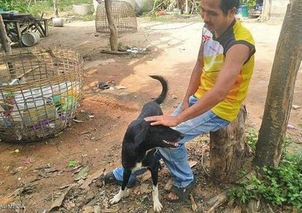 كلب ينقذ طفل رضيع دفنته أمه المراهقة خوفا من العار !