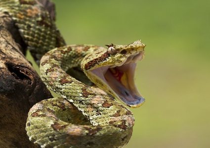 الكشف عن "أكبر أزمة صحية خفية في العالم"!