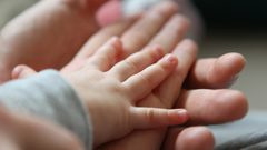 ما هو الطعام الذي تأكلينه خلال فترة الحمل ويزيد من ذكاء طفلك؟