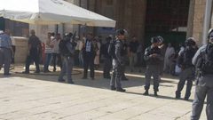 مستوطنون يقتحمون الاقصى ويخلعون غراس زيتون