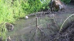 مستوطنون يضخون مياها عادمة إلى أراض جنوب نابلس