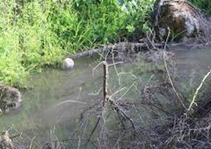 مستوطنون يضخون مياها عادمة إلى أراض جنوب نابلس