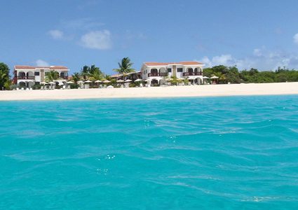 ظاهرة نادرة... مجموعات من "شيطان البحر" تغزو السواحل