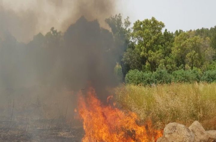 حرائق كبيرة بمستوطنتين جنوب الخليل والقدس جراء الحر