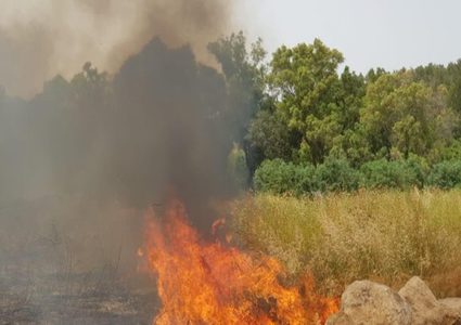 حرائق كبيرة بمستوطنتين جنوب الخليل والقدس جراء الحر