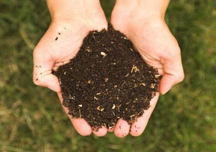 واشنطن تجيز تحويل الموتى إلى "سماد بشري"