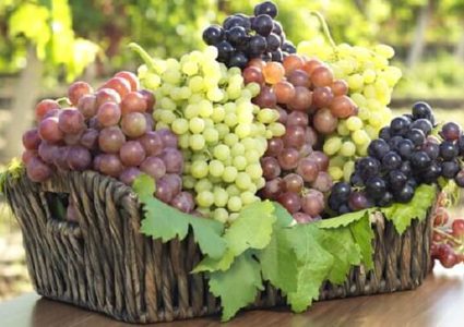 في موسمه.. تعرف على فوائد تناول العنب في رمضان