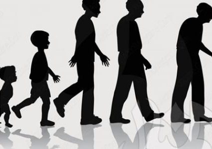 عضوان في جسمك لا يتوقفان عن النمو مدى الحياة