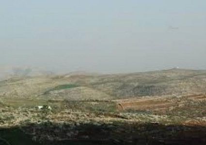 الأغوار الشمالية: مستوطنون يصيبون راعي أغنام برضوض