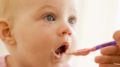 دراسة: بكتيريا أمعاء الجنين تحدد نوع الحساسية التي سيعاني منها