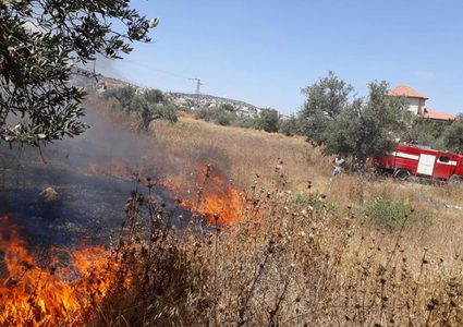 احتراق عشرات الدونمات من المراعي في الأغوار الشمالية