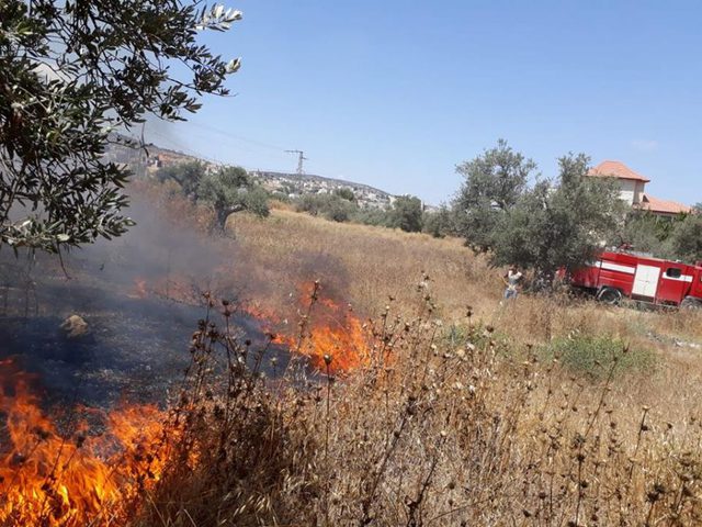 احتراق عشرات الدونمات من المراعي في الأغوار الشمالية