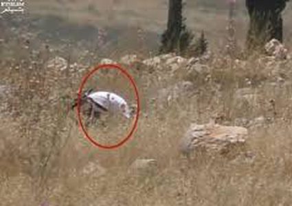 توثيق احراق جندي احتلالي لأراضي المواطنين ببيت لحم