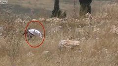 توثيق احراق جندي احتلالي لأراضي المواطنين ببيت لحم