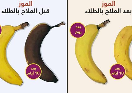طلاء "ثوري" صالح للأكل يحفظ الخضروات والفواكه