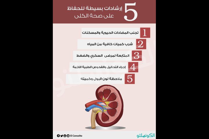 إرشادات بسيطة للحفاظ على صحة الكلى