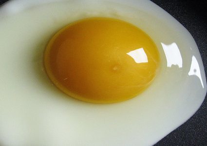 دراسة: كوليسترول الغذاء بريء من الجلطة الدماغية