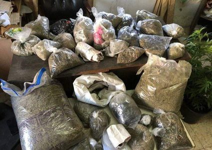 ضبط  13 كغم مخدرات في يطا