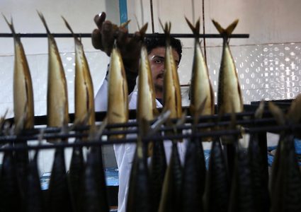 عمال فلسطينيون يعدون "الماكريل" لعيد الفطر بغزة