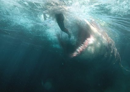 سمكة قرش مفترسة تمزق أمريكيا أمام زوجته!