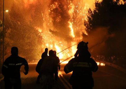 الحرائق تلتهم 50 شجرة زيتون في محافظة جنين