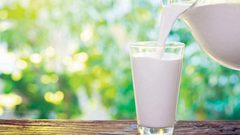 الحليب يساعد في الحد من الخلايا السرطانية للقولون