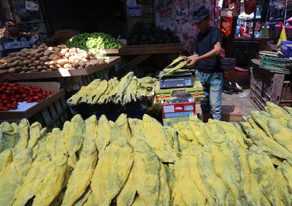 تمتلئ المحال التجارية وبعض البسطات الصغيرة في أسواق غزة بالعديد من أنواع الفسيخ الملون والمملح ..ابتهاجا بقدوم عيد الفطر السعيد.