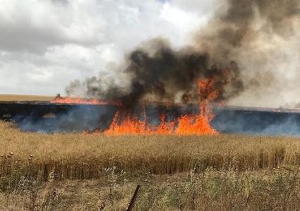 الاعلام العبري: اندلاع حرائق جديدة في غلاف غزة