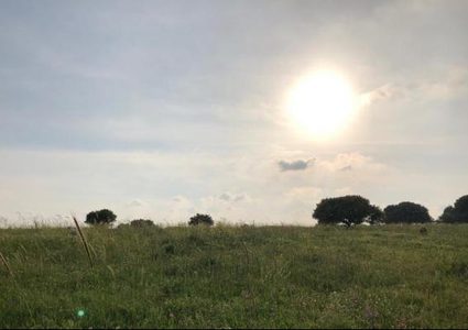 الطقس: ارتفاع على درجات الحرارة