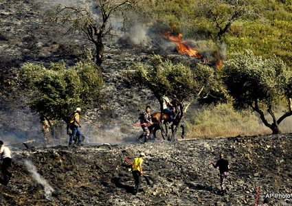 مستوطنون يضرمون النار بحقول زراعية  جنوب نابلس