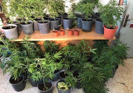 الخليل :الشرطة تضبط 3 كغم مخدرات فجر أول ايام العيد