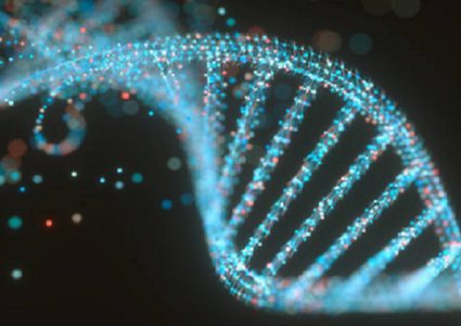 طفرة في جين عمره 500 مليون عام قد تحمي من مرض مزمن