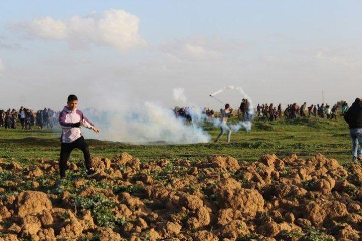 الاحتلال يمنع المزارعين من جني محاصيلهم جنوب الخليل