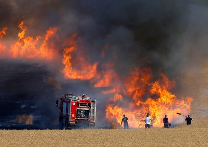 احتراق عشرات الدونمات الزراعية غرب طوباس