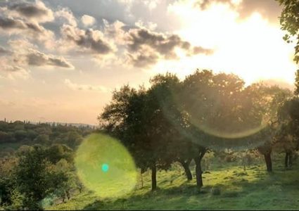 الطقس: أجواء معتدلة وصافية