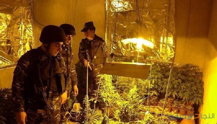 الوقائي يضبط عبوات بلاستيكية تستخدم لزراعة "الماريجوانا" في جنين