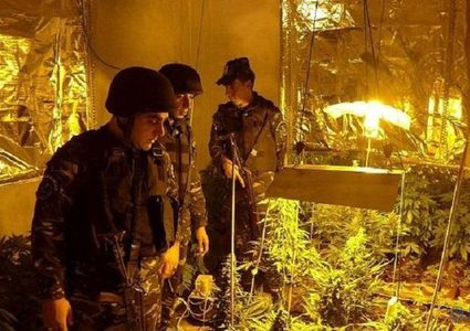 الوقائي يضبط عبوات بلاستيكية تستخدم لزراعة "الماريجوانا" في جنين