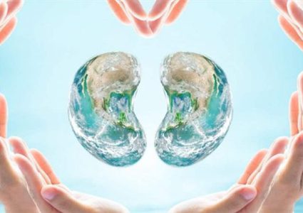 علاج حصى الكلى عن طريق وصفات منزلية