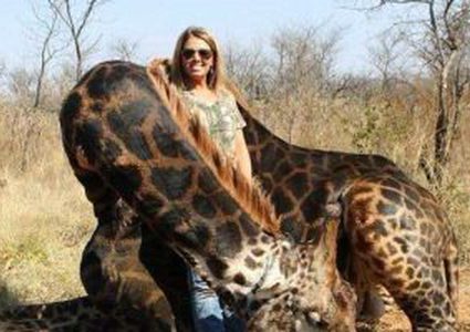 شابة أمريكية تتلقى تهديدات بعد قتلها زرافة نادرة