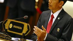 رئيس إندونيسيا: "حل الدولتين" مطلب لا يقبل التفاوض بالنسبة لنا