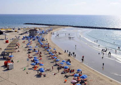 جثث الأبقار تثير الاشمئزاز بشواطئ "تل أبيب"