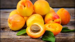 حل موسم المشمش إليكم أبرز فوائده