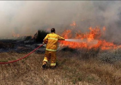 الاحتلال يزعم اندلاع حريق باشكول جراء اطلاق بالونات حارقة من غزة