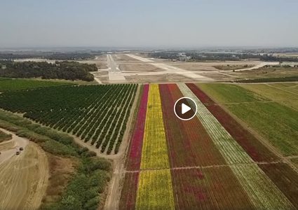 ما لا تعرفه عن القرية الفلسطينية المهجرة "يبنا"