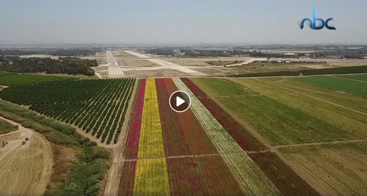 ما لا تعرفه عن القرية الفلسطينية المهجرة "يبنا"