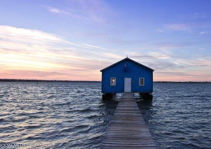 مرحاض بـ278 ألف دولار.. من أجل عيون "الإنستغراميين"