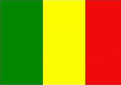 رئيس وزراء مالي: 24 طفلا بين ضحايا مذبحة عرقية