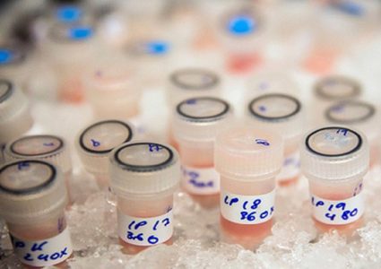 خلايا قد تكون أحد أكبر مسببات السرطان عند الأصحاء!